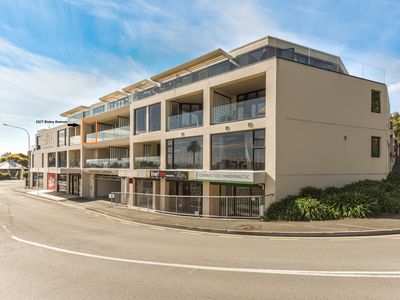 10 / 7 Bisley Avenue, Tahunanui