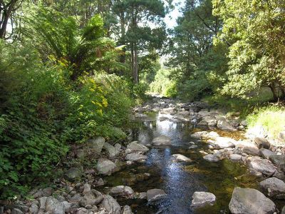 95 Smiths Road, Nicholls Rivulet