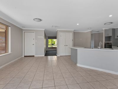16 Chapman Drive, Somerville
