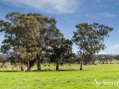 499 Old Wedderburn Road, Slaty Creek