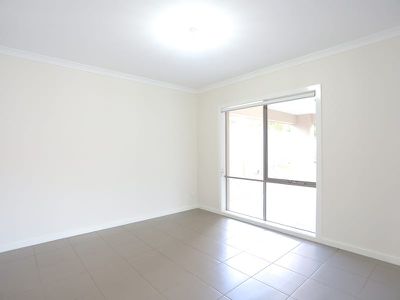 56 Obrist Place, Rochedale