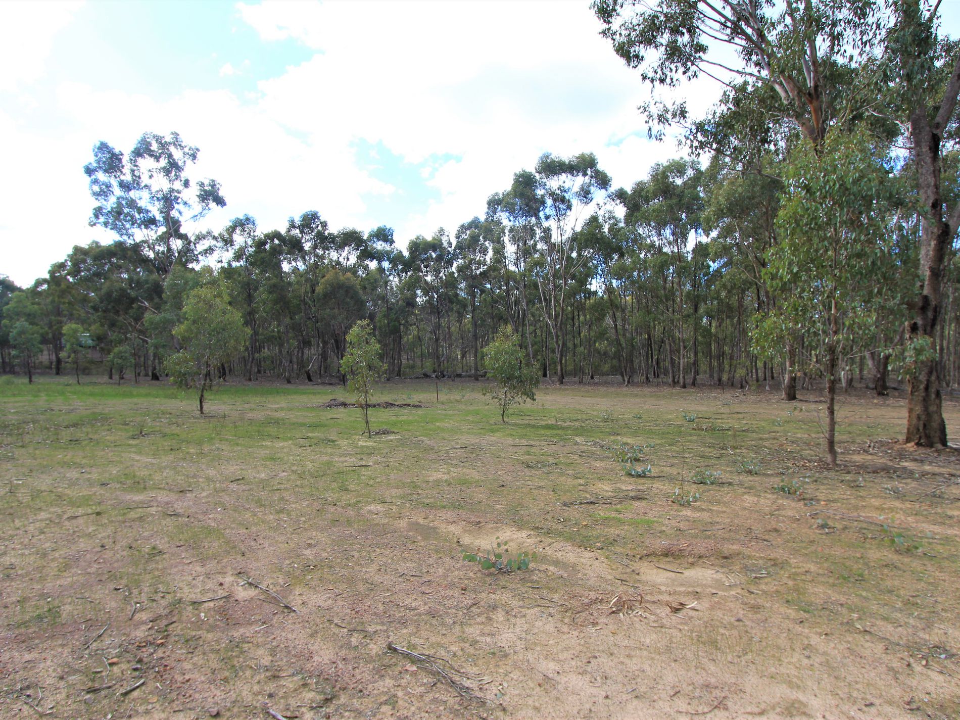 2 Gordons Drive, Redcastle