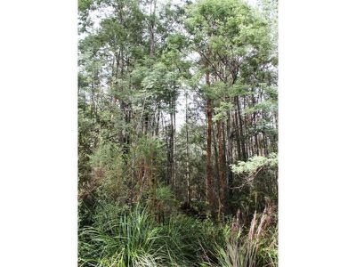 Arve Road, Geeveston