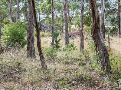 6789 Channel Highway, Deep Bay