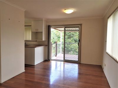 4 Ursula Court, Springwood