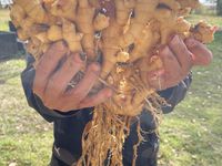 181 Patrick Estate Road, Patrick Estate