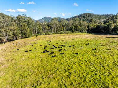 2667 Pappinbarra Road, Pappinbarra