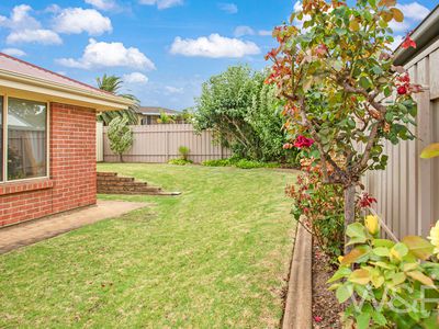 12 Bellchambers Court, Modbury Heights
