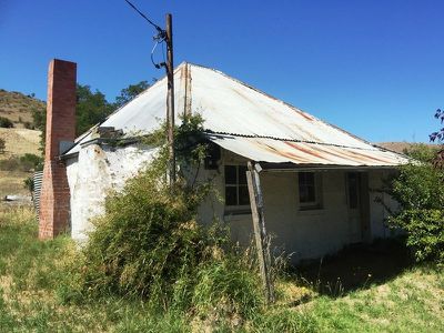 71 Franklin Place, Hamilton