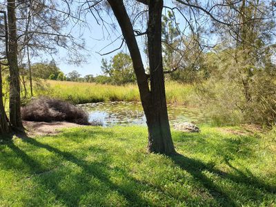 11 Brushbox Drive, Mullumbimby Creek