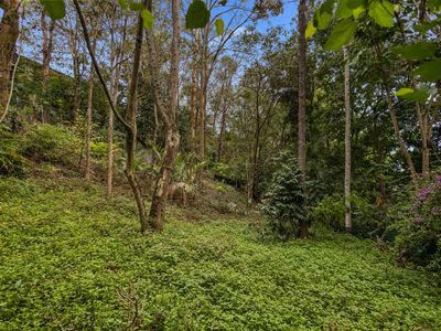 85 Hutton Road, Ferny Hills