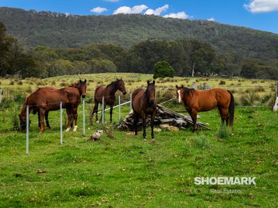 274 Mountain Creek Road, Braidwood
