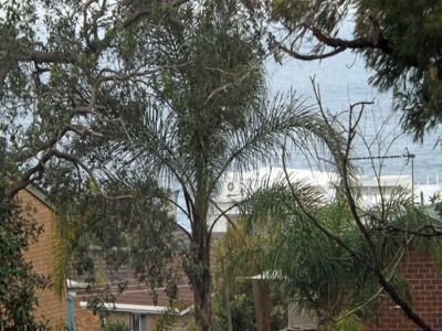 7 Davies Street, Mollymook