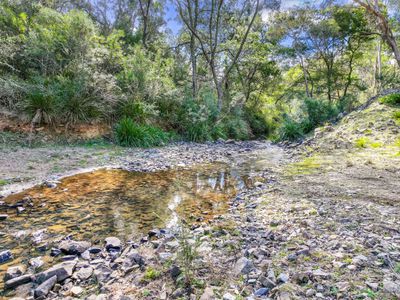 Lot 193 / 443 Back Creek Road, Mongarlowe