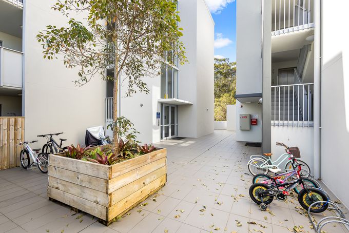 244 / 8 Starling Street, Buderim