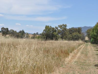 32 Flynns Lane, Yackandandah