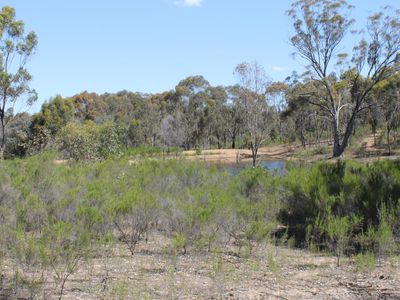 CA 68  CA 68  Twin Rivers Road, Eppalock