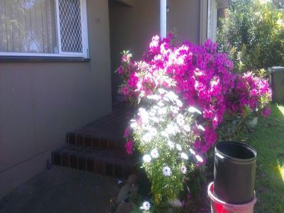 181 Chetwynd Road, Guildford