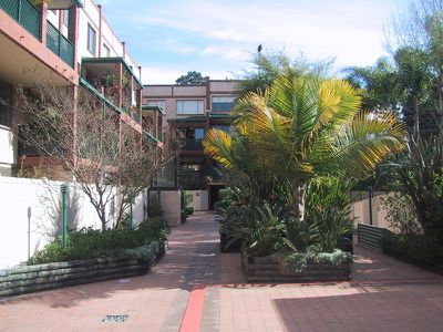 29 / 3 Olivia Lane, Surry Hills