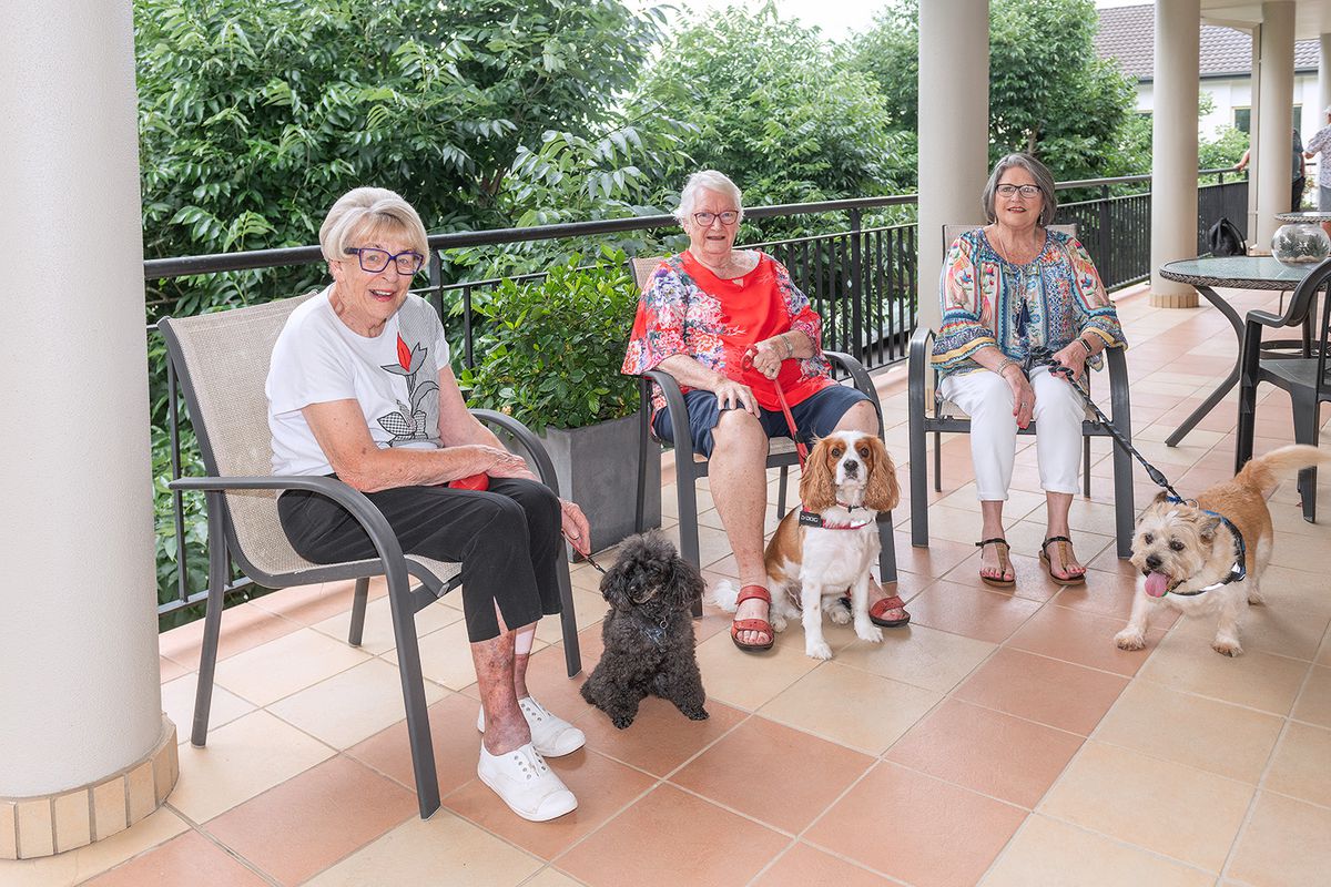 1 / 24 Kincumber Street, Kincumber