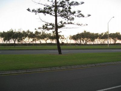 Alexandra Headland