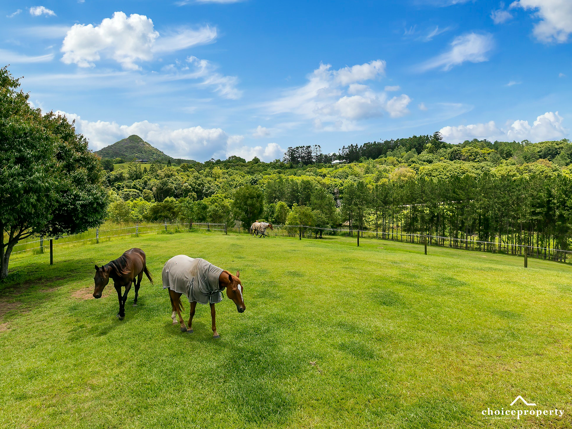 86-90 Sunrise Road, Eumundi
