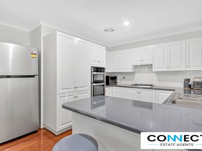 1 / 8 Hayes Road, Hampton Park