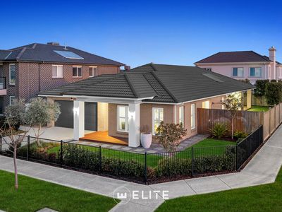 15 Tallrush Street, Clyde North