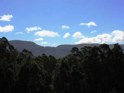 205A Tallowa Dam Rd, Kangaroo Valley