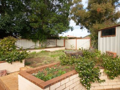 11 Bass Place, Dubbo