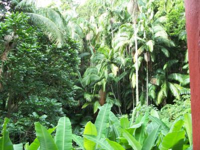 Maleny