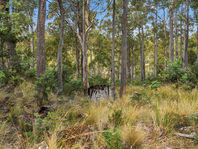 18 Little Spit Road, Lake Leake
