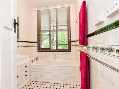 61 Adams Lane, Staghorn Flat