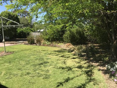 41 Forest Street, Barham