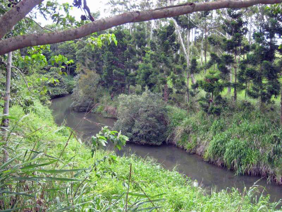 Atherton