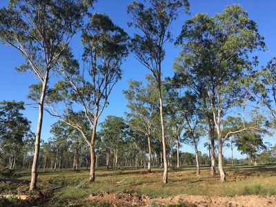 Lot 4, Sandy Creek Pioneer Estate, Nanango
