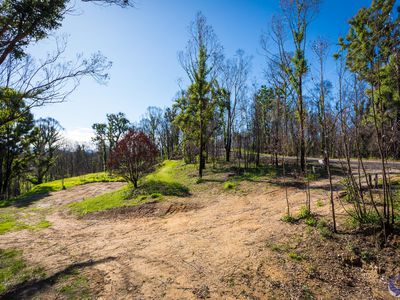 81 Waincourt Road, Eurobodalla