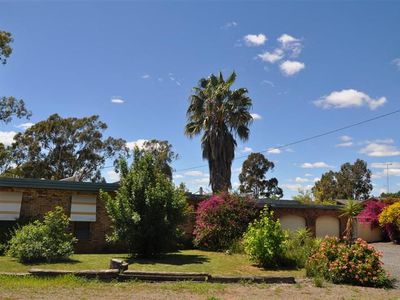 227 Farnell  Street, Forbes