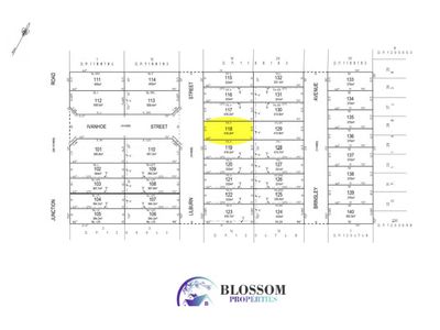 Lot 118, 19 Lilburn Street, Schofields