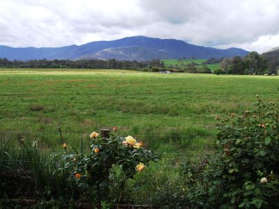 53 Valley Avenue , Mount Beauty