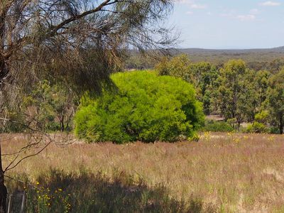 999 Burkes Flat - McIntyre Road, Mcintyre