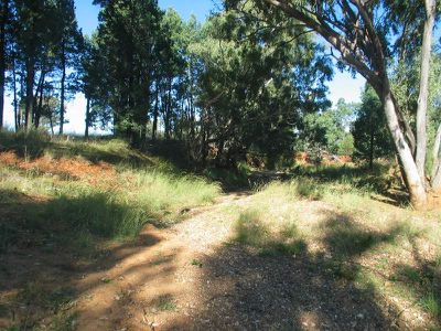 2234 Wandobah Road, Gunnedah