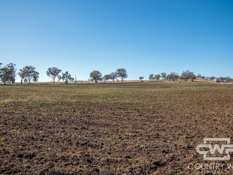 Lot 8, - Emmaville Road, Emmaville