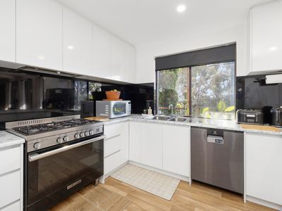 20 Harrison Road, Mount Richon