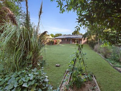 8 Nimbus Drive, Flaxton
