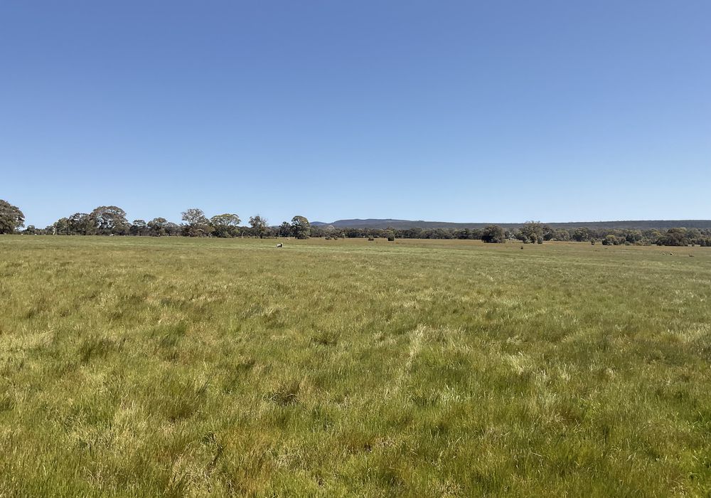 399 Henty Highway, Brimpaen