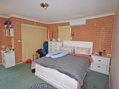 Dubbo