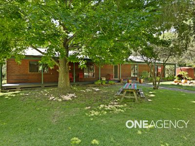 D1005 Princes Highway, Falls Creek