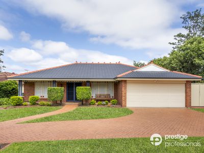 22 Trineura Court, Wattle Grove