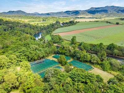 390 Woopen Creek Road, Babinda